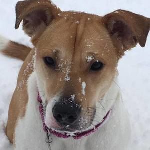 Meet your Posher, Tara